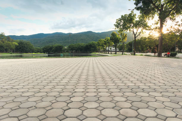 Paver Driveway Replacement in Williamston, SC